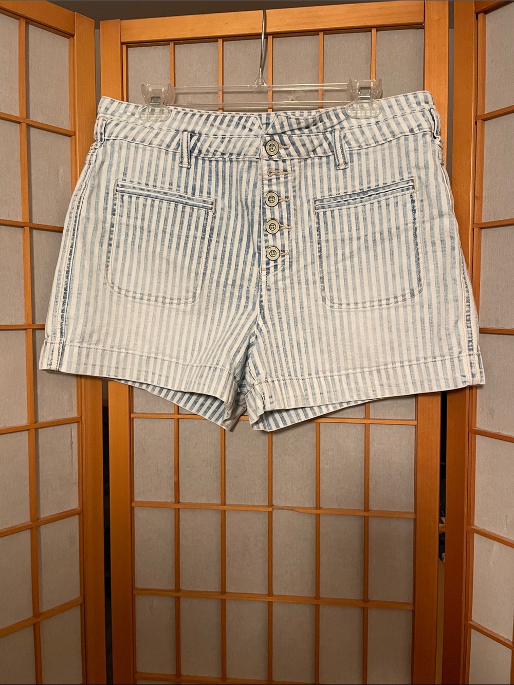 Pilcro and the Letterpress by Anthropologie Size31 Striped High Rise Slim Shorts